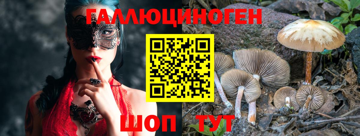 Шелехов  магазин продажи наркотиков  Вход с VPN  Псилоцибиновые грибы Psilocybine cubensis 