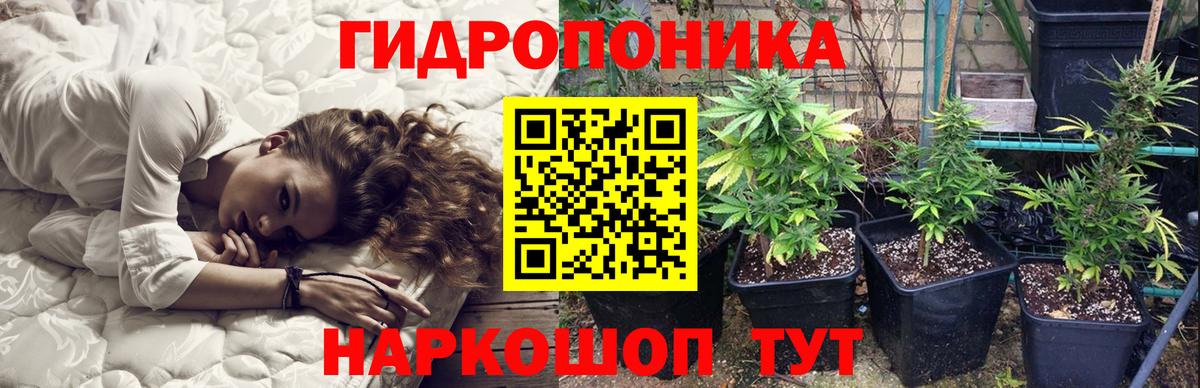 Марихуана Amnesia Шелехов